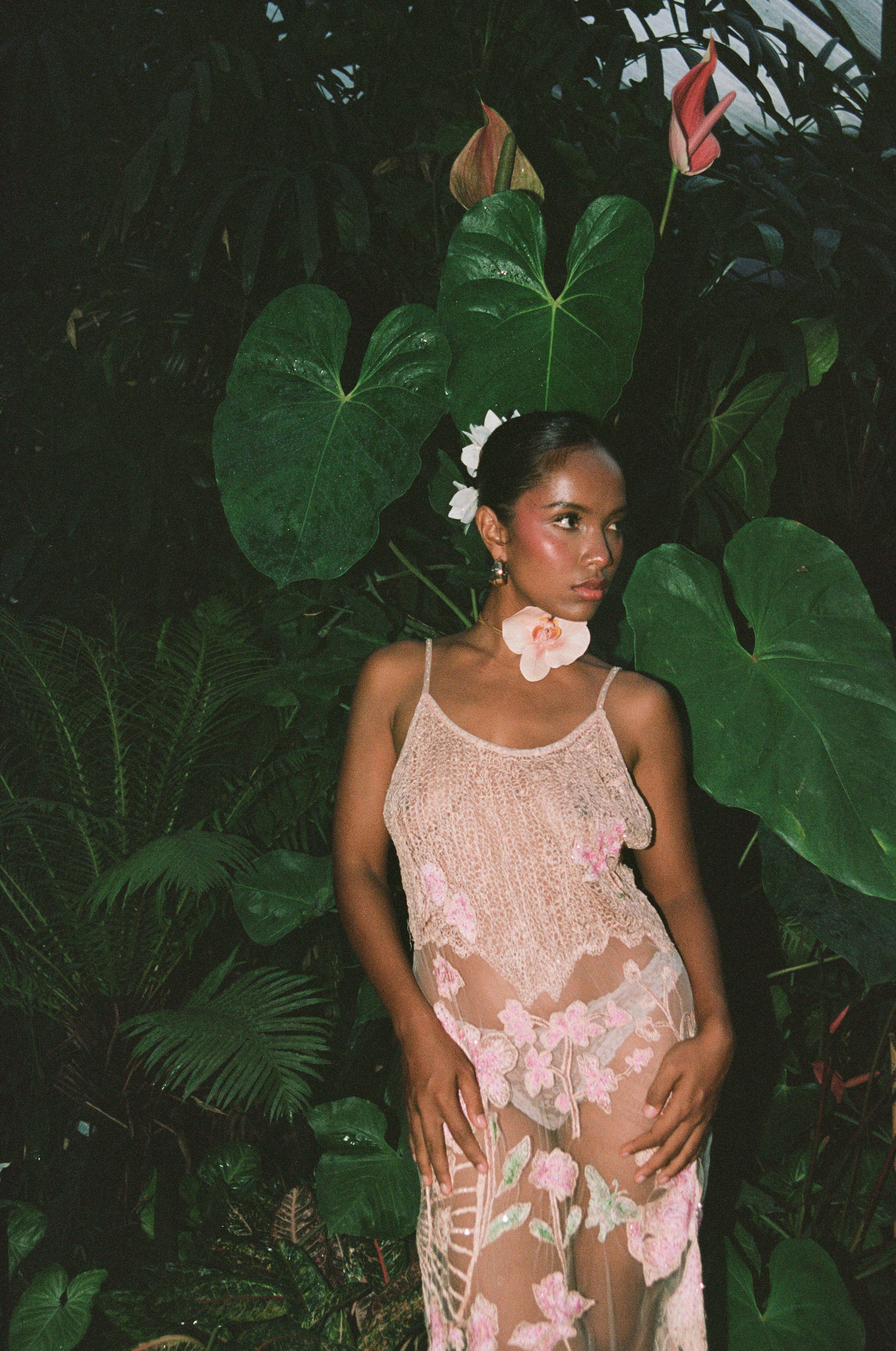 Dear Dahlia Embellished Dress