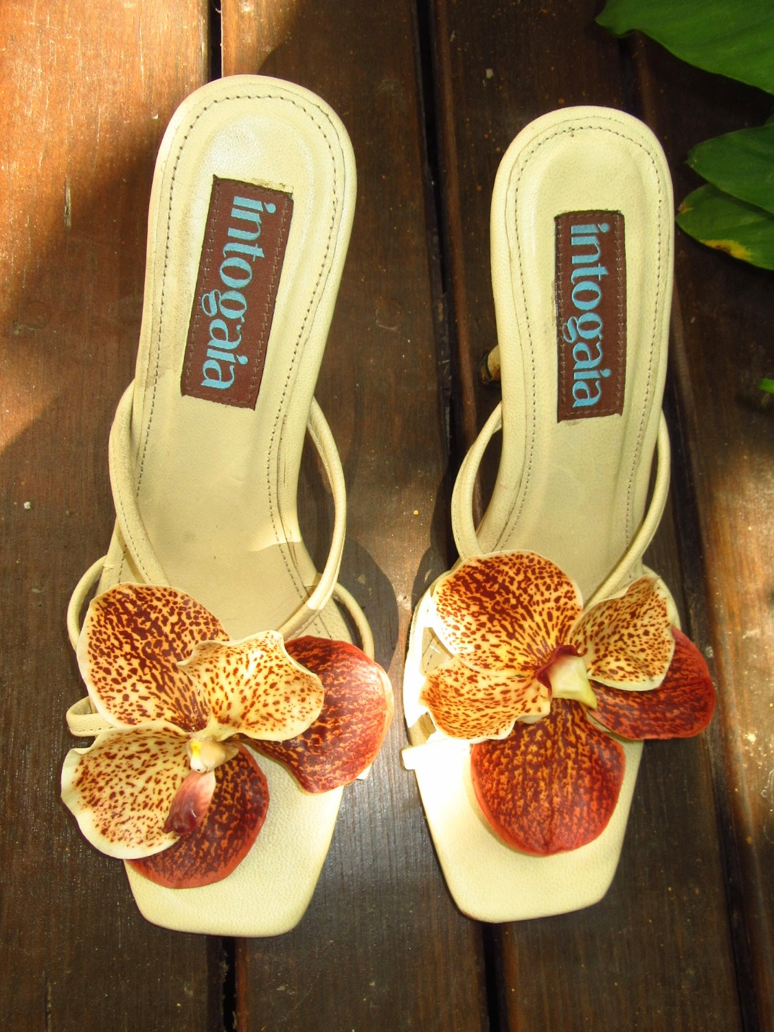 Orchids of Serendipity Stilettos