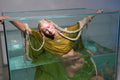 Sirena Verde Silk Chiffon Cape
