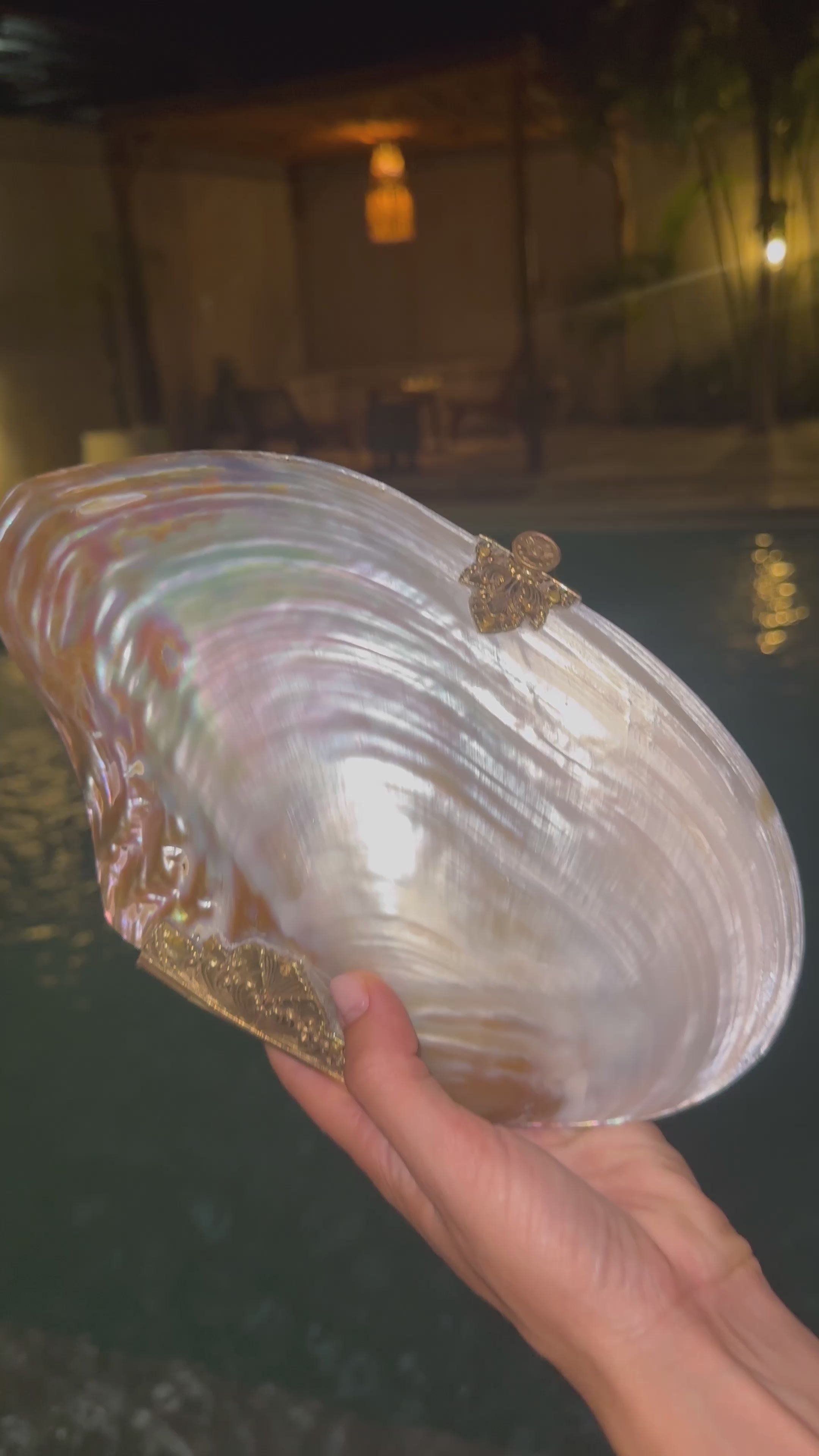 Ariel's Secret Clutch